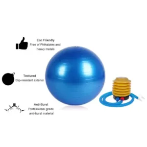Heavy Duty Gym Ball Non-Slip Stability Ball with Foot Pump for Total Body Fitness ( default, Standard ).